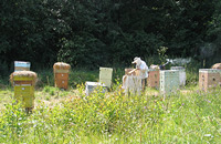 Правовое обеспечение пчеловодства в субъектах Российской Федерации