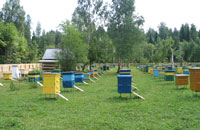 Ценный генофонд пчел Татарстана