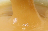 Мед при производстве БАД, обогащенных экстрактами пантов