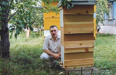 Как сделать улей для пчел самостоятельно: какие схемы сборки существуют?