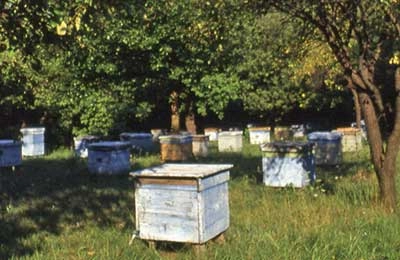 Инвентарь для пчеловодов, ассортимент Парк Плюс
