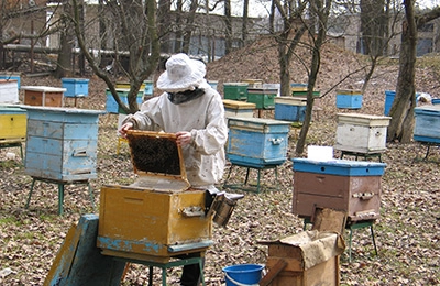 Секреты пчеловодства и поделки из вторсырья: чему можно научиться в столичных экоцентрах