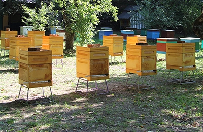 Как сделать улей? - Статьи по пчеловодству - Пчеловодство: оборудование и инвентарь.
