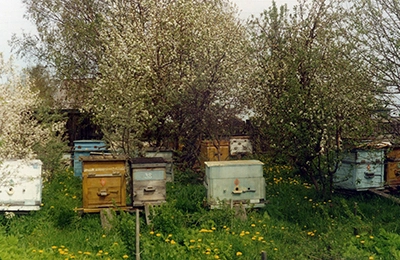 Ульи в пчеловодстве. Улей лежак