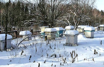 пасека зимой