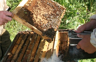 Пчеловодный инвентарь и оборудование