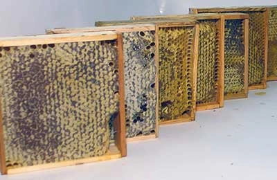 Рекомендации по подбору инвентаря пчеловода