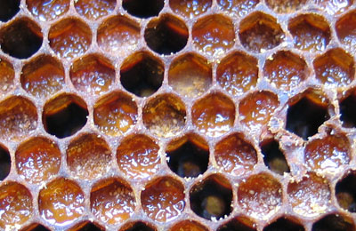 мед с пыльцой