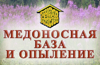медоносная база