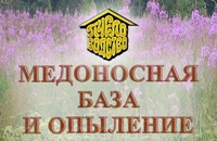 медоносная база