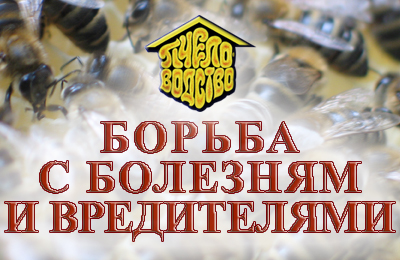 борьба с болезнями пчел