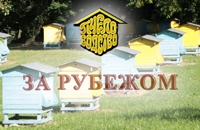 За рубежом