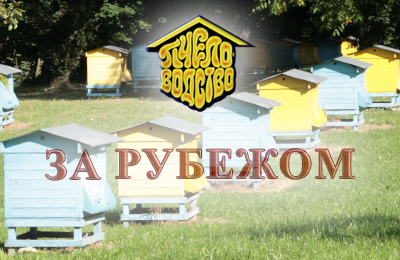За рубежом