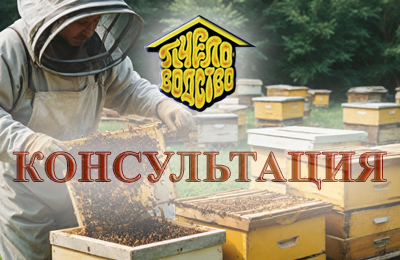 Консультация