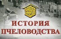 история пчеловодства