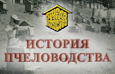история пчеловодства